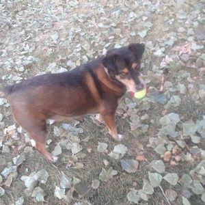 Meet your Posher, Jacob